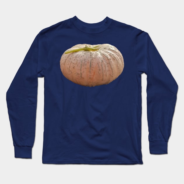 Pale Orange Pumpkin for Halloween Decoration Long Sleeve T-Shirt by ellenhenryflorals